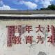 13年堅守慈善助學，為岑溪學子筑夢前行